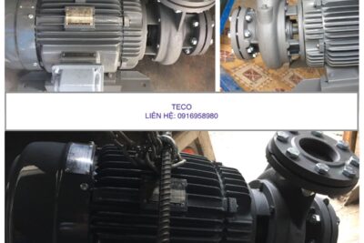 May Bom Nuoc Teco 15hp